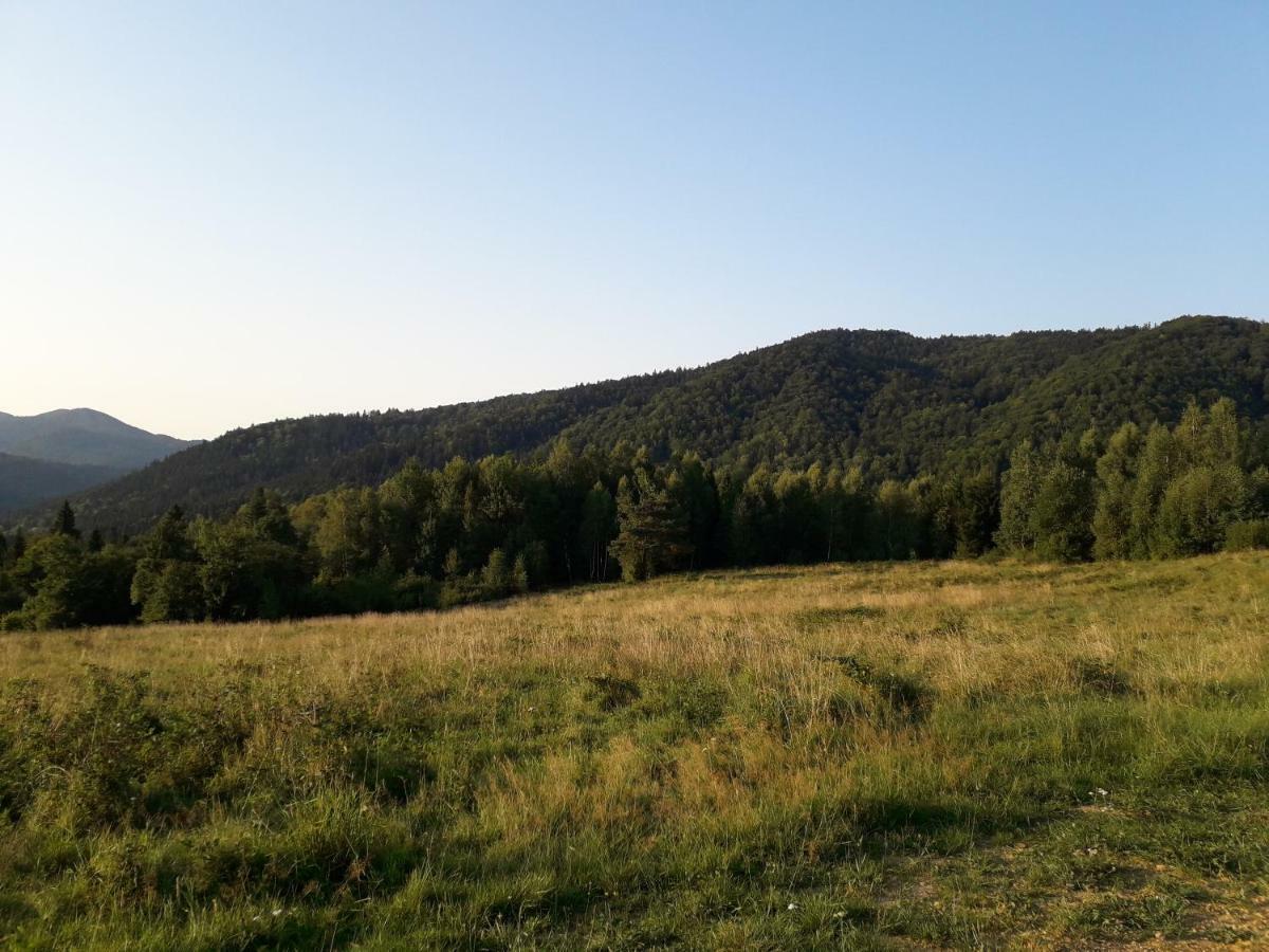 Lesne Berdo Przyslup Bed & Breakfast Cisna Bagian luar foto